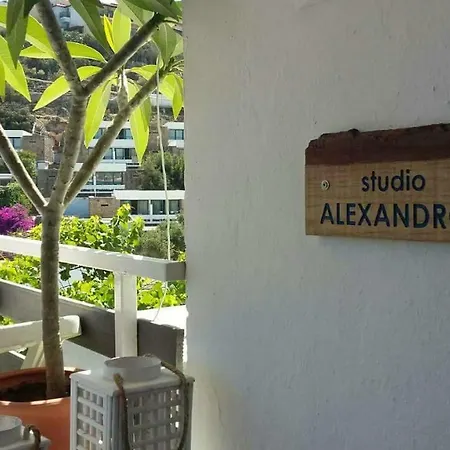 Studio Alexandros Apartment *